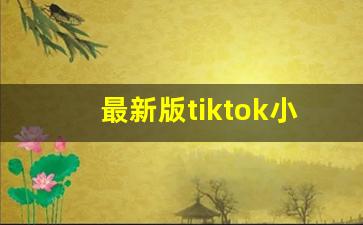 最新版tiktok小火箭配置_苹果手机小火箭使用教程
