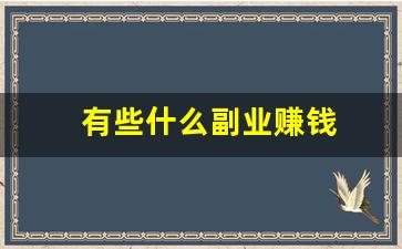 有些什么副业赚钱