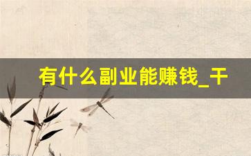有什么副业能赚钱_干点什么副业能赚钱呢