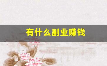 有什么副业赚钱