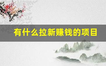 有什么拉新赚钱的项目