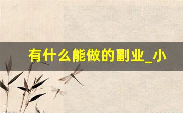有什么能做的副业_小副业项目大全