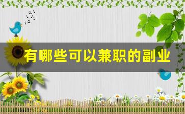 有哪些可以兼职的副业_不影响上班的副业有哪些