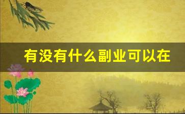 有没有什么副业可以在家做