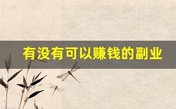 有没有可以赚钱的副业_适合45至55岁创业项目