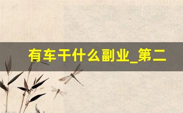 有车干什么副业_第二副业做什么好