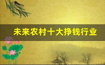 未来农村十大挣钱行业_乡镇最缺的生意