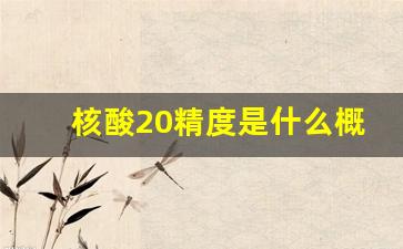 核酸20精度是什么概念