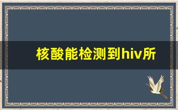 核酸能检测到hiv所有亚型吗_hiv核酸检测未检出