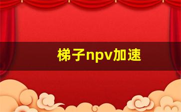 梯子npv加速