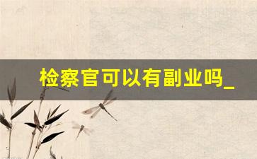 检察官可以有副业吗_女孩当检察官什么学历