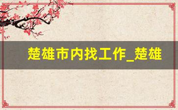 楚雄市内找工作_楚雄高铁站招聘安检员