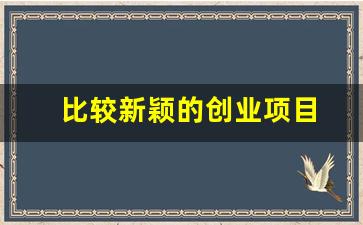 比较新颖的创业项目
