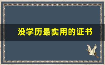 没学历最实用的证书
