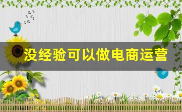 没经验可以做电商运营吗_零基础怎么做电商