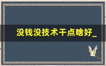 没钱没技术干点啥好_一年能挣100万的小生意