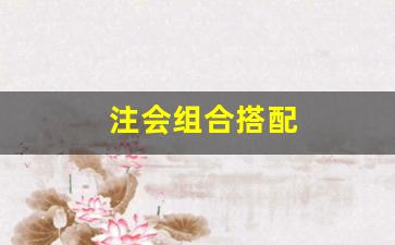 注会组合搭配