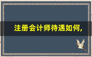 注册会计师待遇如何,收入有多高_35岁学会计还能找到工作吗