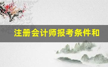 注册会计师报考条件和时间2023