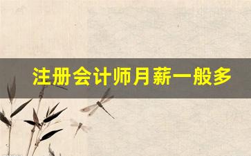 注册会计师月薪一般多少_注册会计师证书的含金量