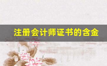 注册会计师证书的含金量_经济师考试时间2023报名时间