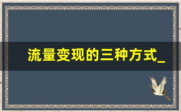 流量变现的三种方式_流量变现骗局是真的吗