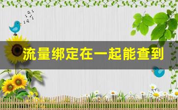 流量绑定在一起能查到对方记录吗