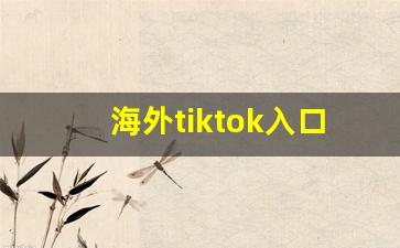 海外tiktok入口
