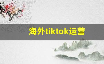 海外tiktok运营