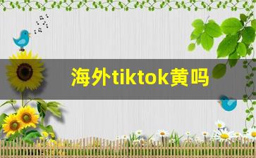 海外tiktok黄吗_成品短视频app软件大全苹果版