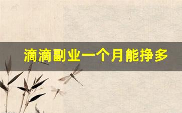 滴滴副业一个月能挣多少_全职跑滴滴一天挣多少