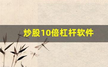 炒股10倍杠杆软件