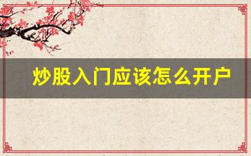 炒股入门应该怎么开户