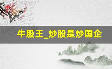 牛股王_炒股是炒国企还是私企