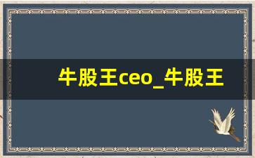 牛股王ceo_牛股王官网