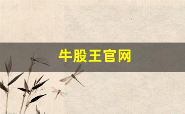 牛股王官网