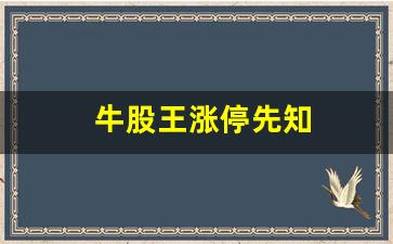 牛股王涨停先知