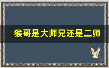 猴哥是大师兄还是二师兄_西游记二师兄叫什么名字