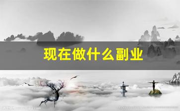 现在做什么副业