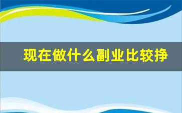 现在做什么副业比较挣_做什么副业比较赚钱