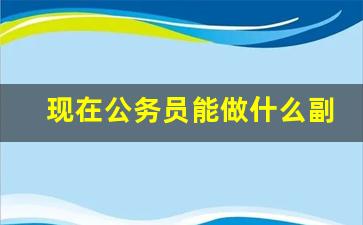 现在公务员能做什么副业