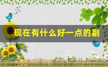 现在有什么好一点的副业