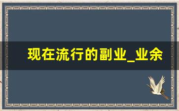 现在流行的副业_业余时间干点什么副业