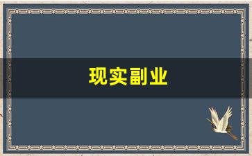 现实副业