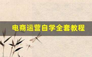 电商运营自学全套教程