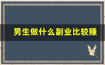 男生做什么副业比较赚钱_丰县副业适合男人
