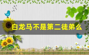 白龙马不是第二徒弟么_白龙马在孙悟空之前还是之后