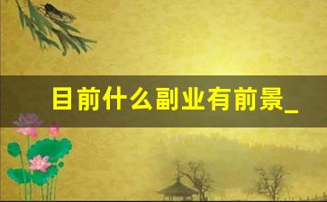 目前什么副业有前景_赚钱副业推荐