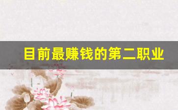 目前最赚钱的第二职业_第二职业干点什么好呢
