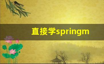 直接学springmvc_Springboot教程